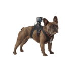 GoPro_Arnes_Perro